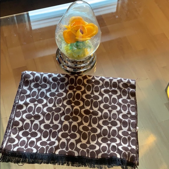 Coach Accessories - Coach long scarf
